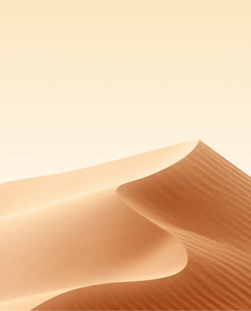 Çevresel Zorluklara Karşı Tam Adaptasyon